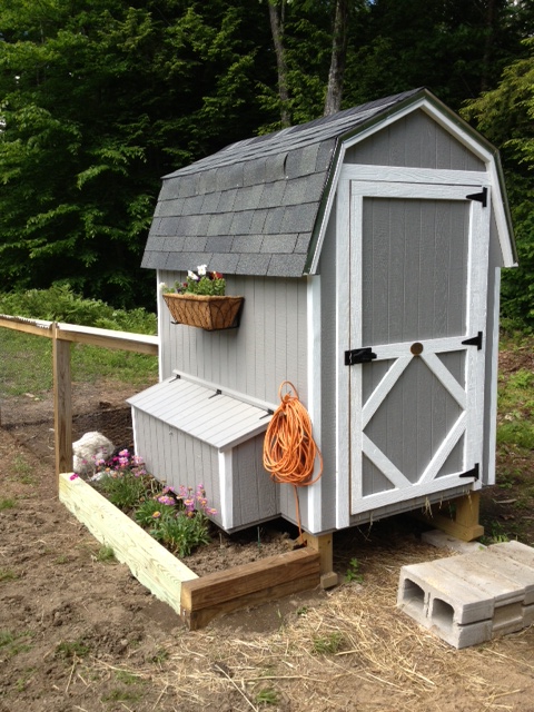 Gray gable chicken coop with a flower box