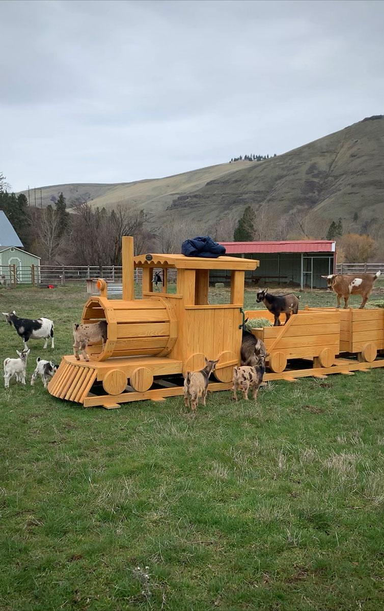 Goats playing on a wooden train playground set
