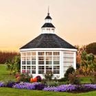 Amish Little Cottage 12 ft. Panelized Garden Shed Greenhouse Kit