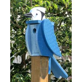 amish-made-wooden-blue-jay-