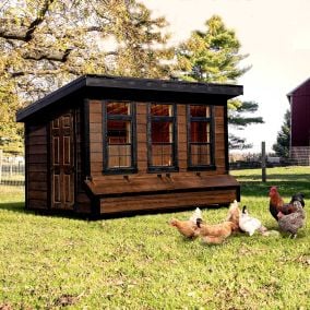 7x12 Lean-to Chicken Coop