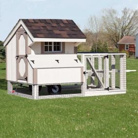 Chicken Coop with Cage