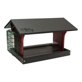 Bird Feeder with Suet Holder