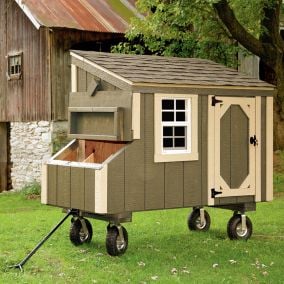 Avocado Chicken Coop