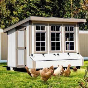 7x10 Lean-to Chicken Coop