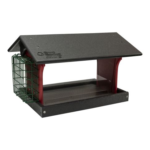 Bird Feeder with Suet Holder