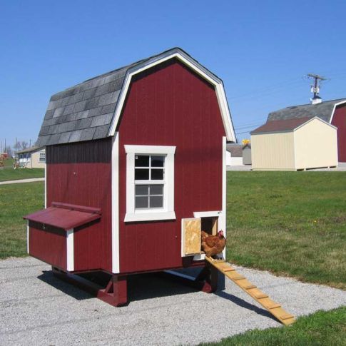 Amish Gambrel Chicken Coop