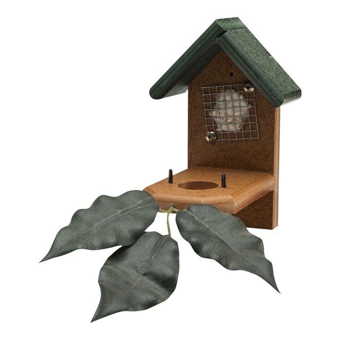 Hummingbird nest house with leaves
