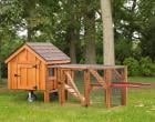 A-frame Chicken Coops Collection