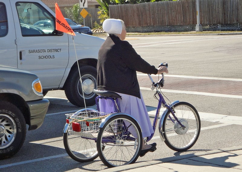 THE PINECRAFT AMISH COMMUNITY