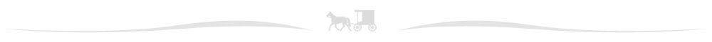 Pinecraft.com payments