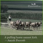 A Pulling Horse Cannot Kick.